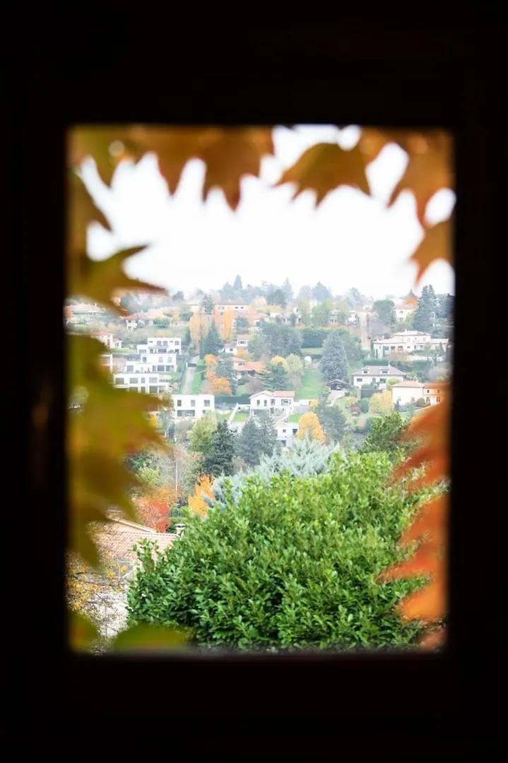 דירות Saint-Didier-au-Mont-d'Or La Croix Des Rameaux- Charming House Near Lyon צרפת